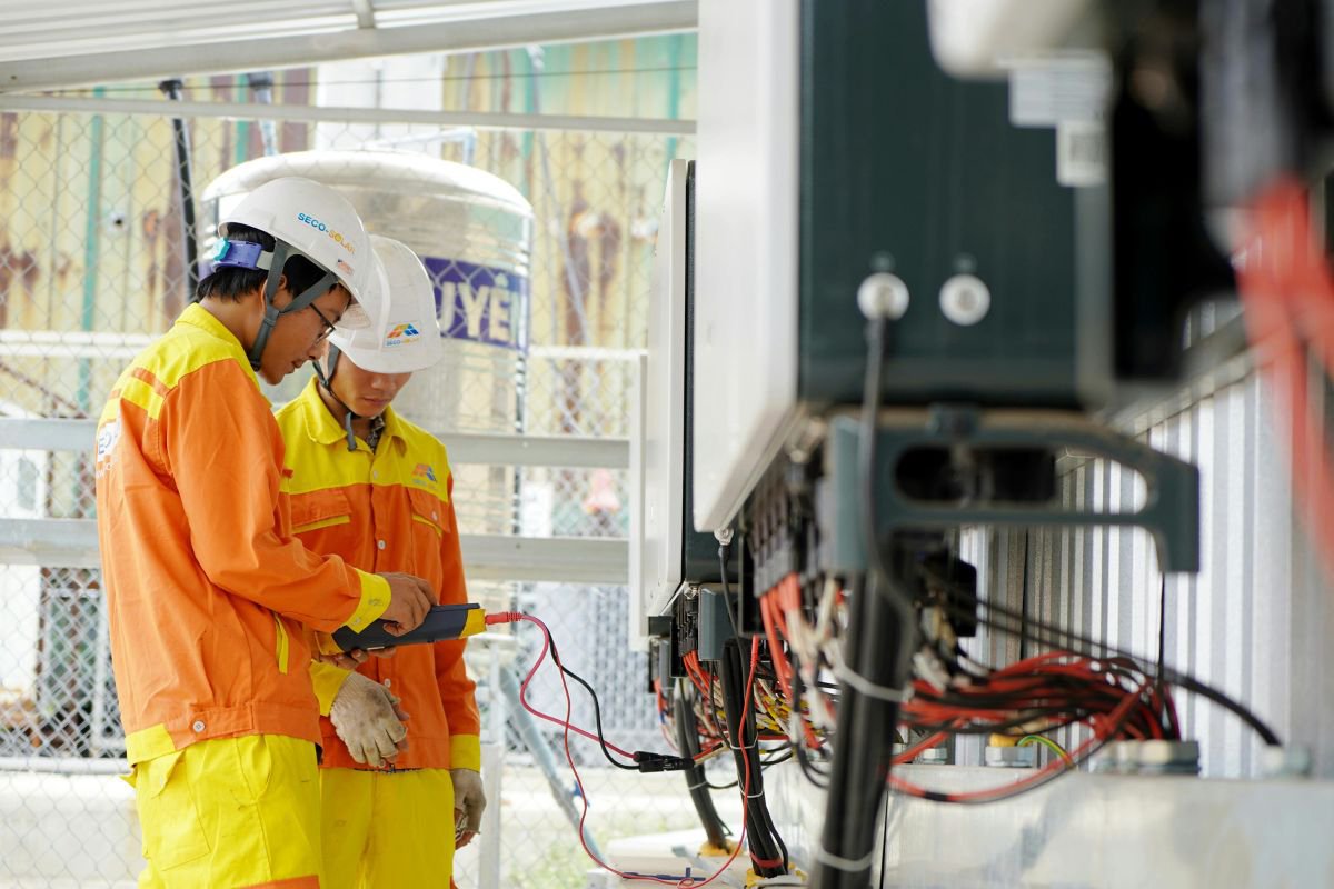 Professional Electrical worker