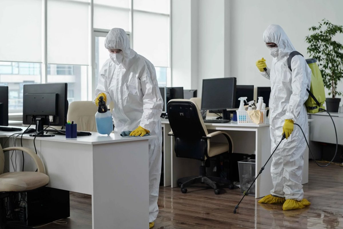 Complete Pest Disinfection Services