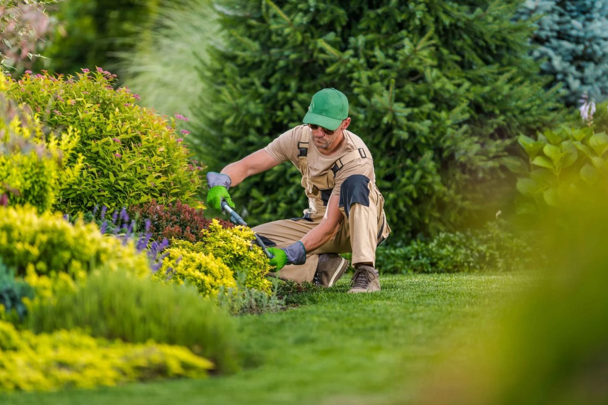 Gardener trimming plants in a garden
