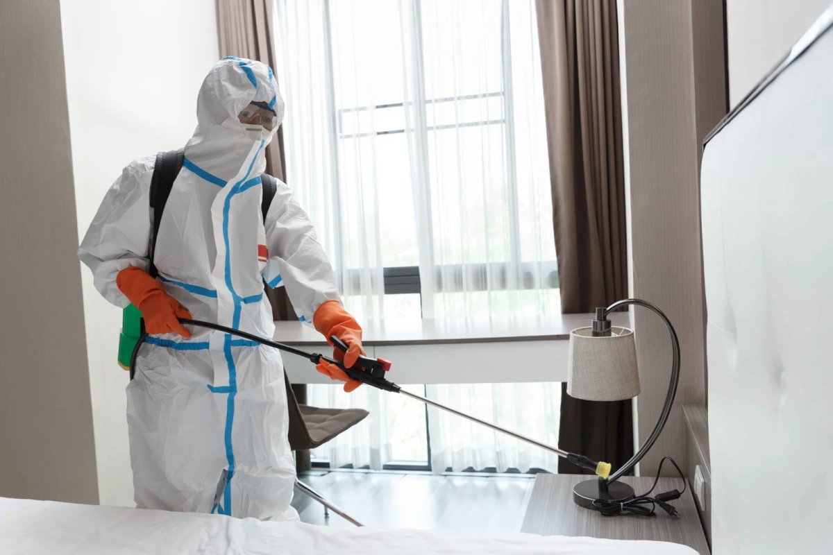 Pest Control Man Spray in office for insects